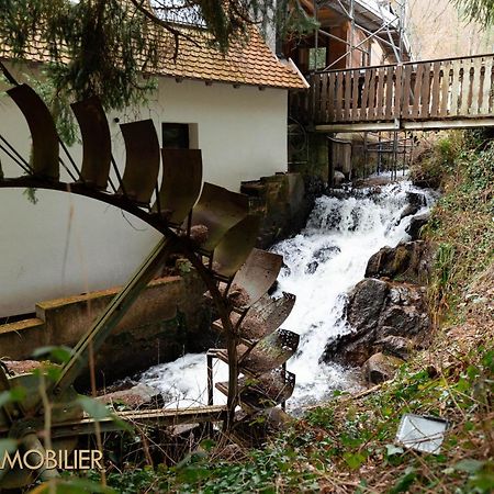 Apartament Le Domaine De La Source Calme Et Ressourcant Barr Zewnętrze zdjęcie